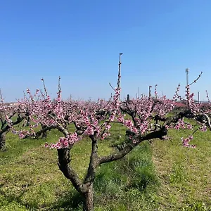 Corte Vecia Della Corte Alloggio per agriturismo